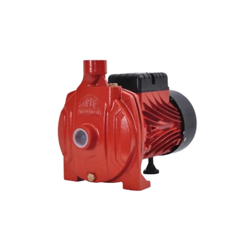 Electric Water Pump